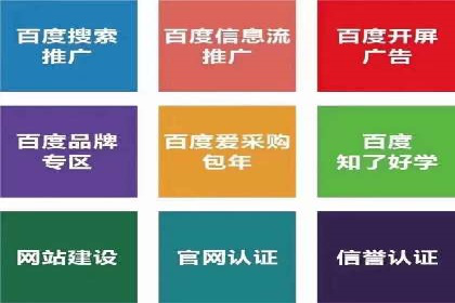 百度竞价托管公司案例分析：打造行业领军企业